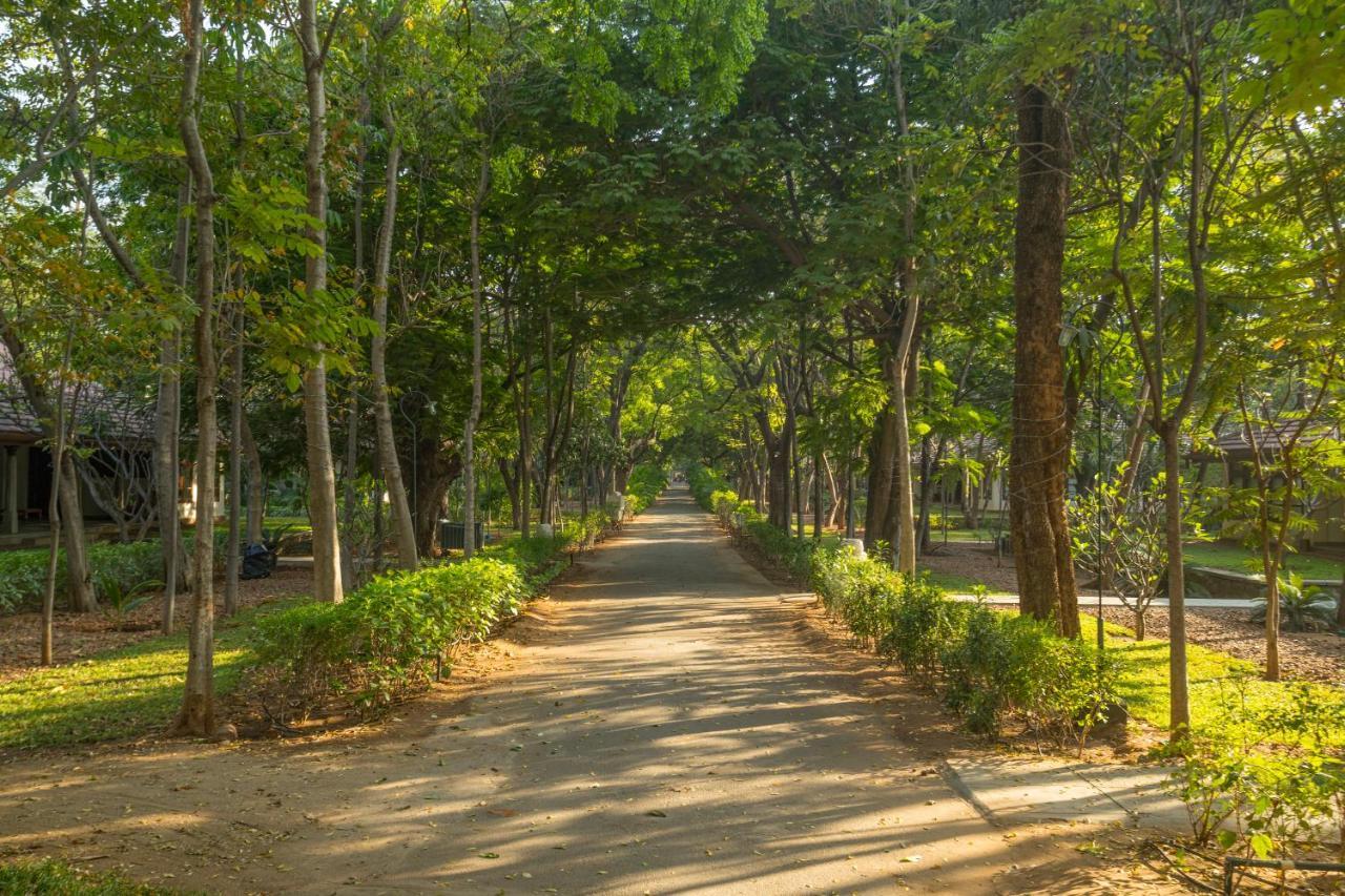 Heritage Madurai Exterior photo A road in the park